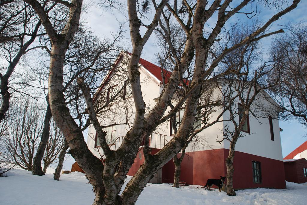 Helluland Guesthouse Saudarkrokur Экстерьер фото